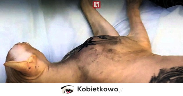 Ten rosyjski tatuażysta uśpił swojego kota