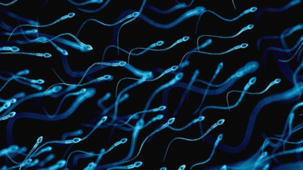 Ciekawe fakty o spermie