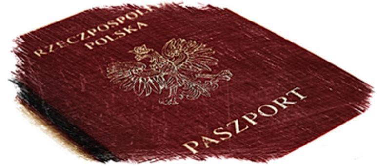 Zabieranie paszportów pedofilom!