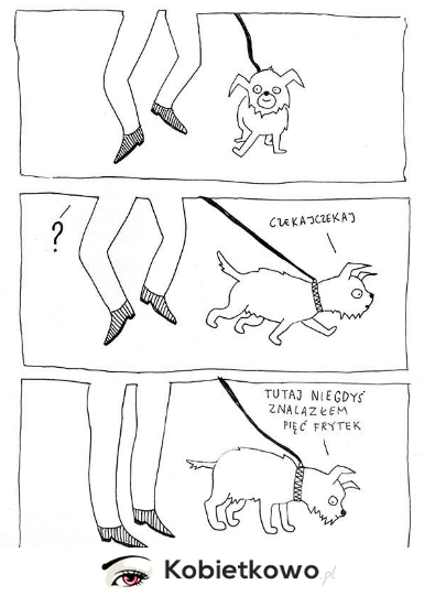 Najlepsze "facebookowe" rysunki z psami w roli głównej!