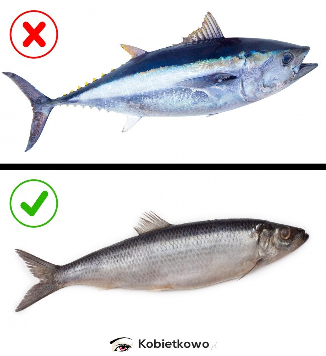 Czy ryby są zdrowe?
