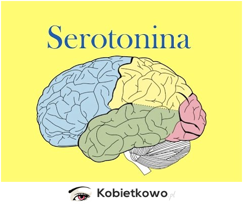 Wiesz, że Twoje problemy mogą być spowodowane niedoborem serotoniny?