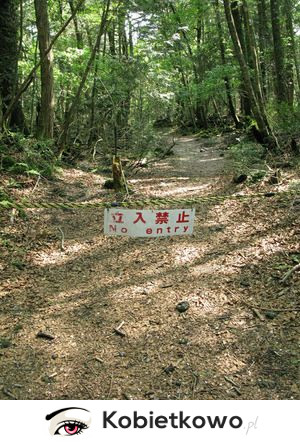 Japoński las samobójców! [DRASTYCZNE ZDJĘCIA]