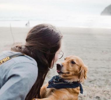 Psy świadomie komunikują się z człowiekiem określonymi gestami!