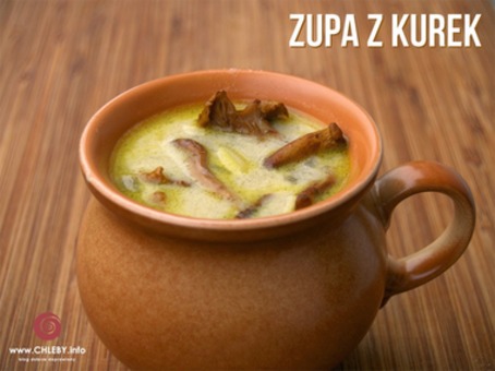 Zupa z kurek - pyszności na domowy obiad [PRZEPIS]
