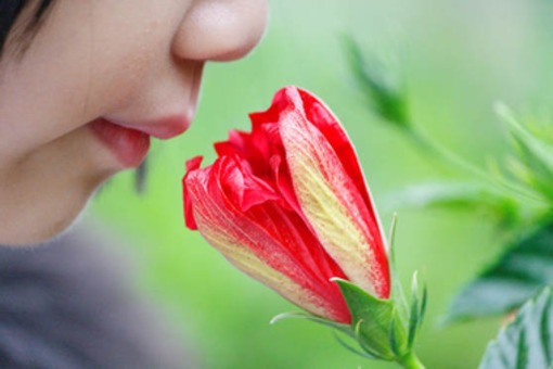 Jakie zapachy poprawiają samopoczucie i zdrowie? [LISTA]