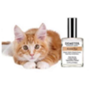 Oto perfumy o zapachu sierści... kotów!