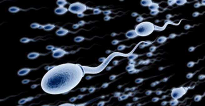 Ciekawe fakty o spermie