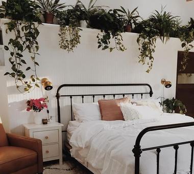 7 roślin do sypialni, które pomogą ci zasnąć!