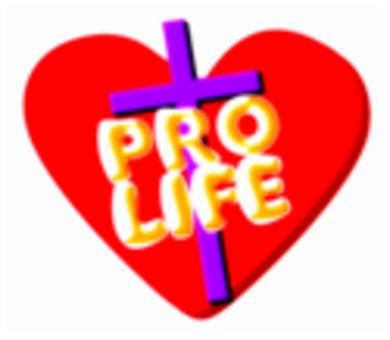 W polskich miastach powstają katolickie apteki pro-life. "To odwet za łamanie Prawa Bożego!"
