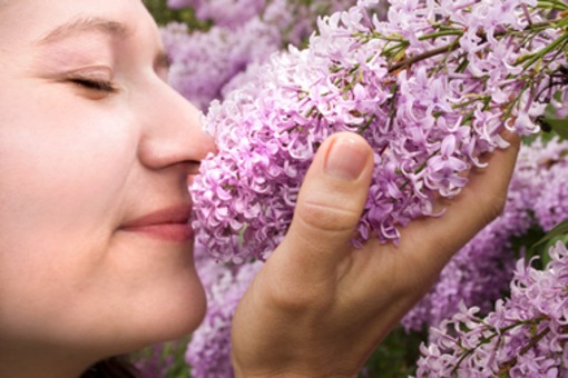 Jakie zapachy poprawiają samopoczucie i zdrowie? [LISTA]